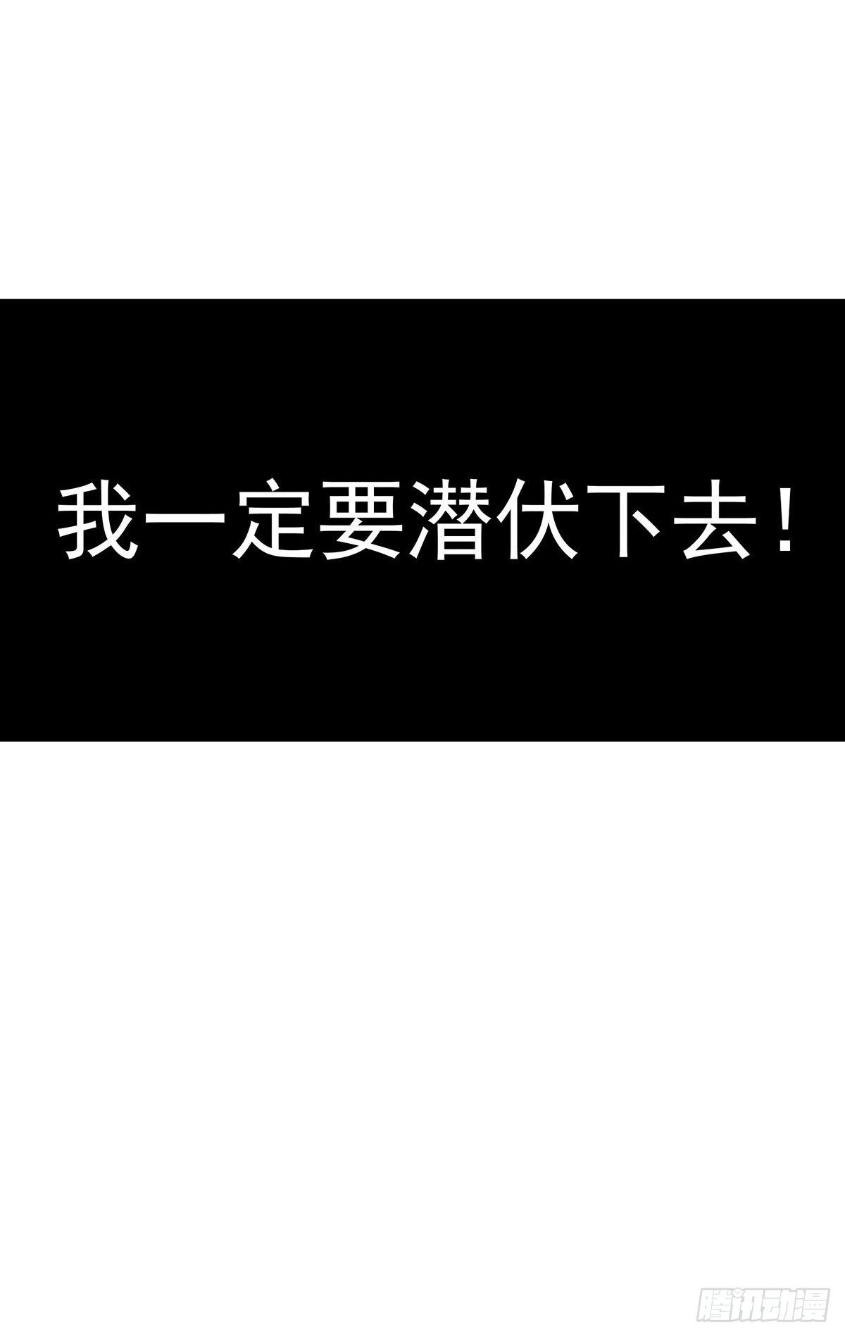预告一条12