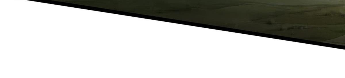 21117