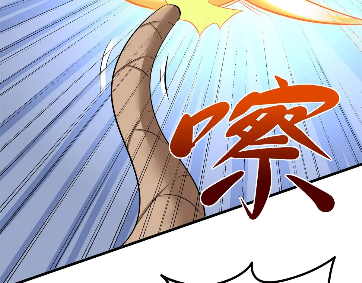 06593