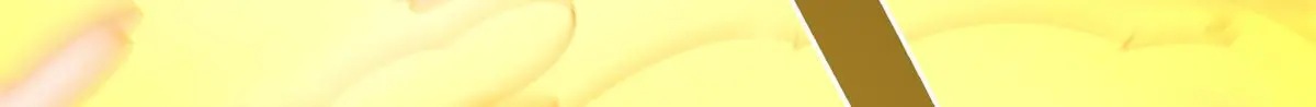 06613