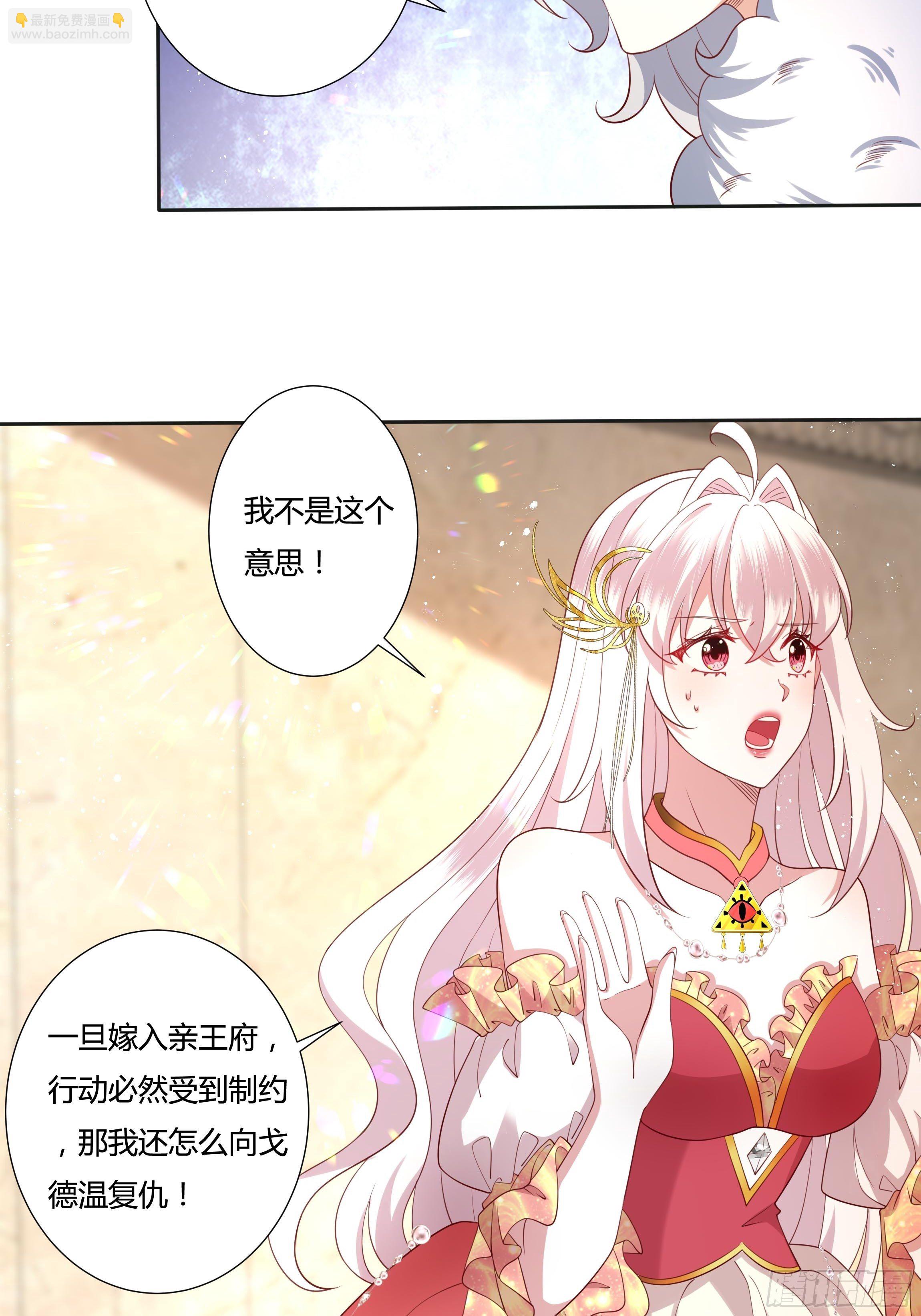 40话 大皇夫登场！6