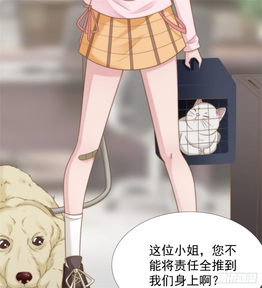 第39话 小可爱19