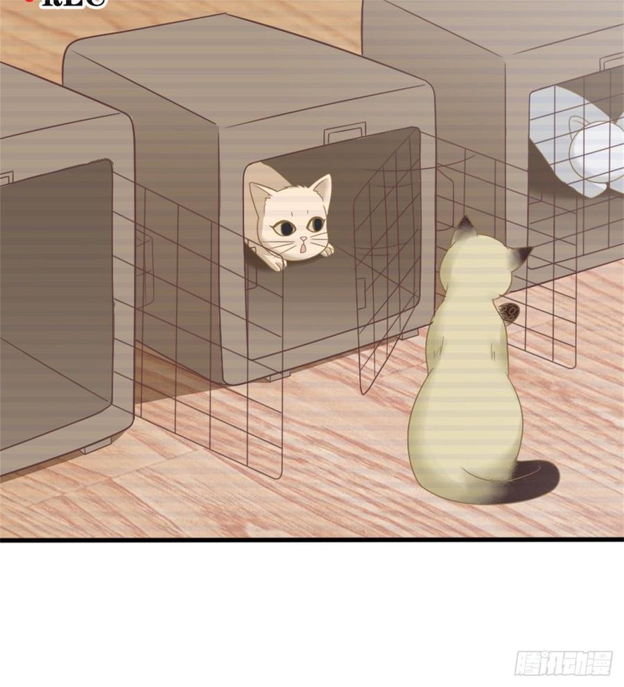 第39话 小可爱39