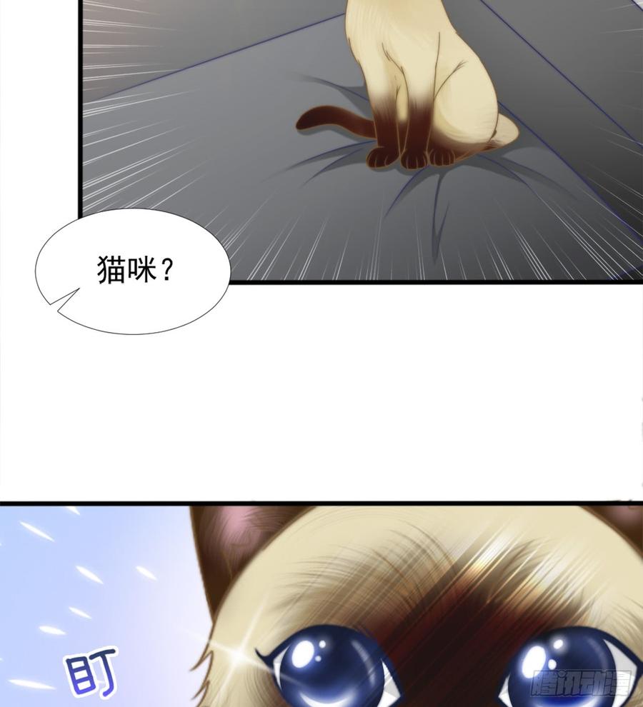 第41话 只能为了你12