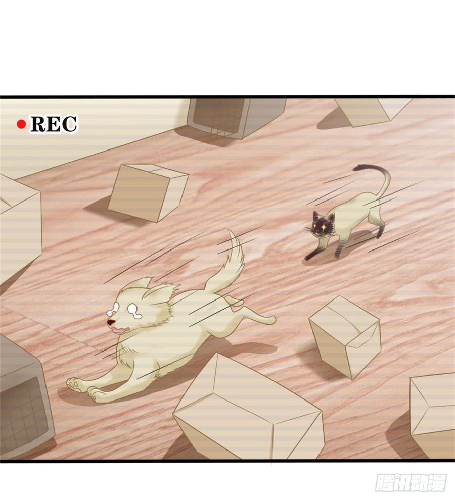 第39话 小可爱40