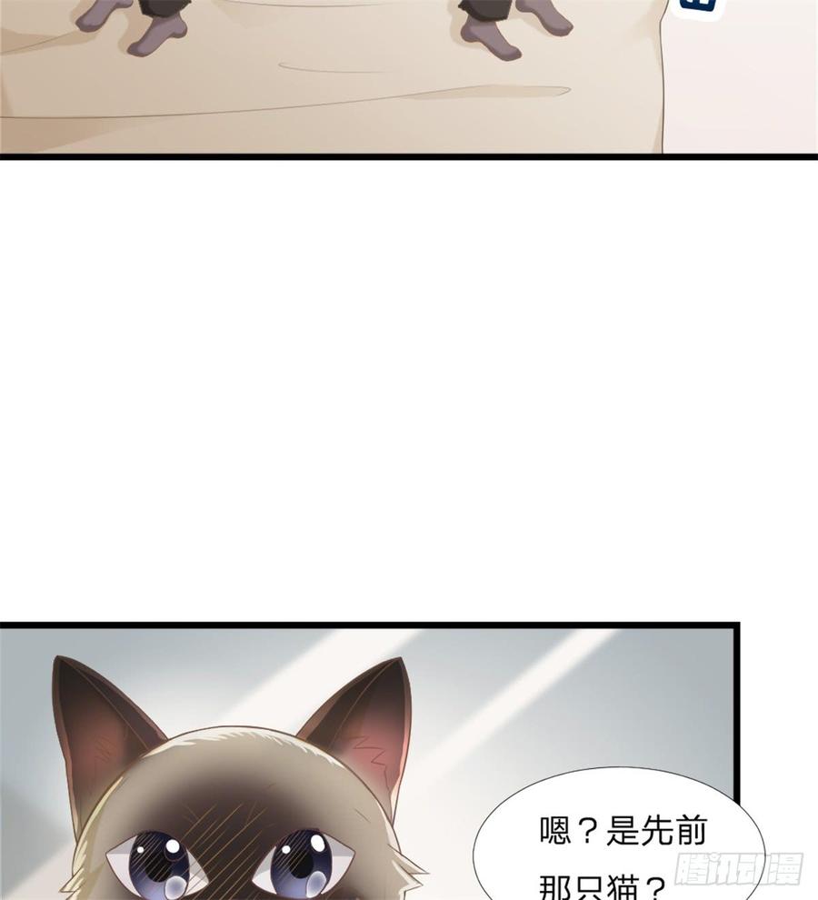 第45话 难眠之夜1