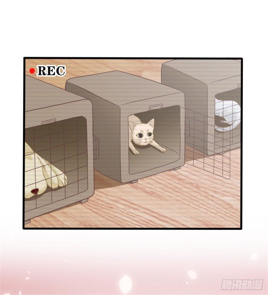 第39话 小可爱36