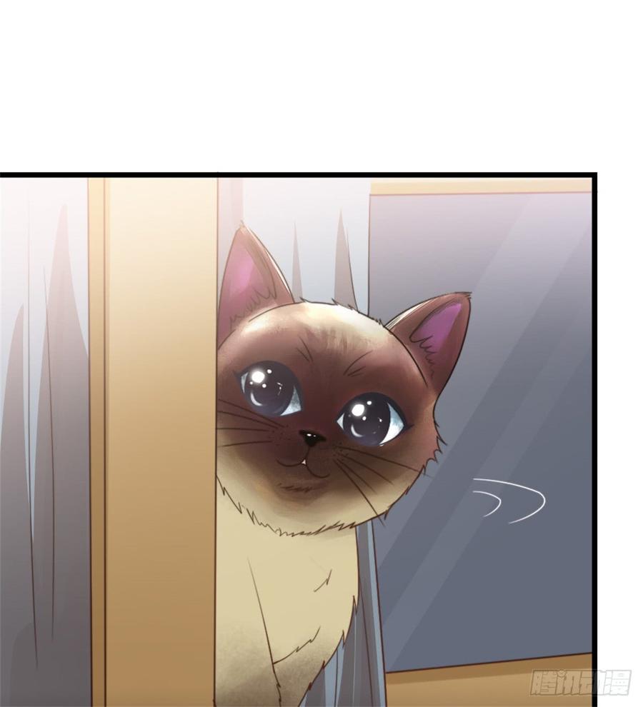 第44话 初生情愫52