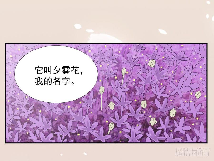 第23话 你的夕雾花30