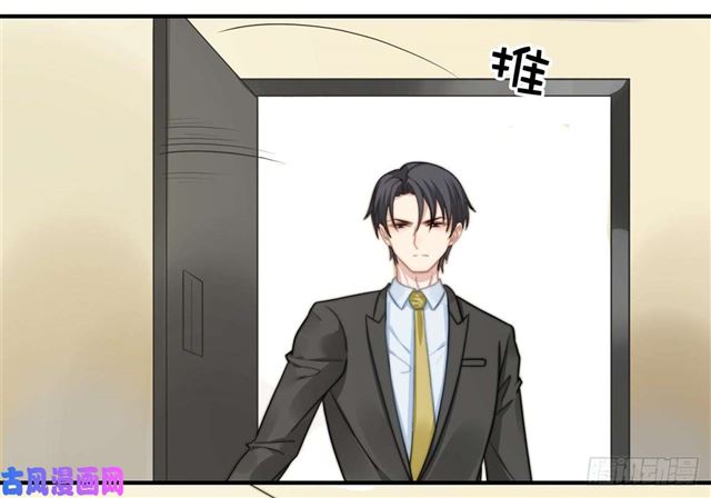 第114话最会享受的猫11