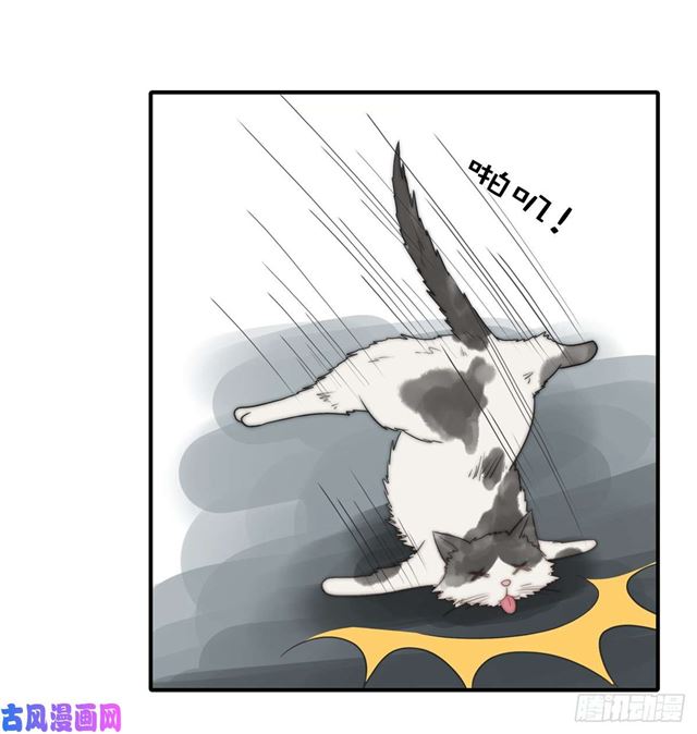 第114话 最会享受的猫23