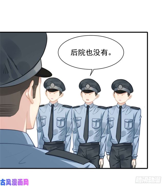 第114话最会享受的猫8
