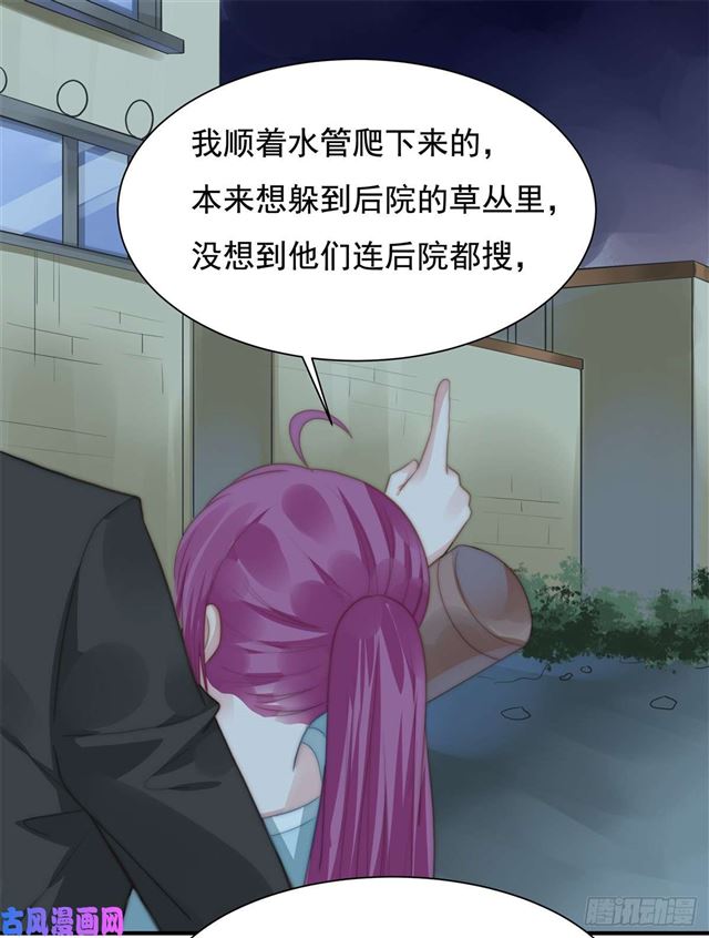 第114话 最会享受的猫26