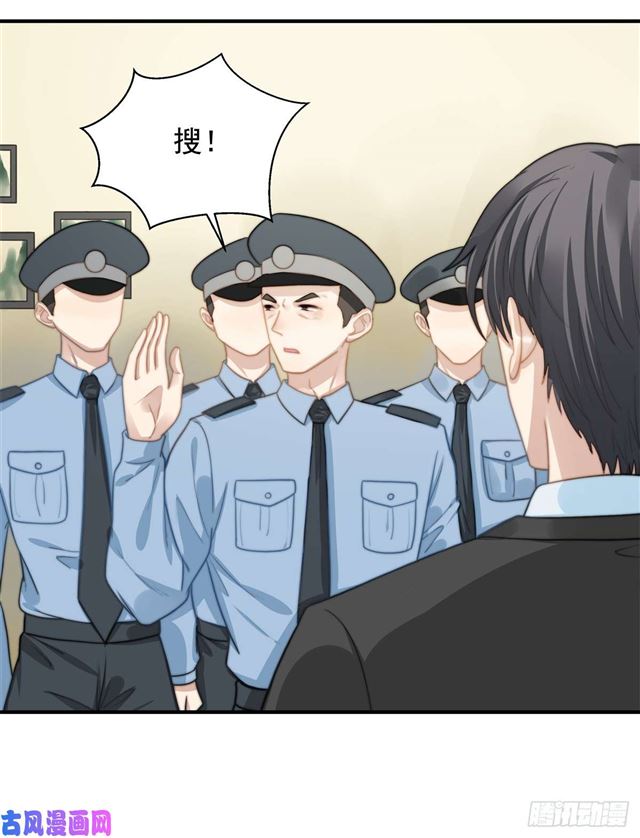第114话 最会享受的猫2