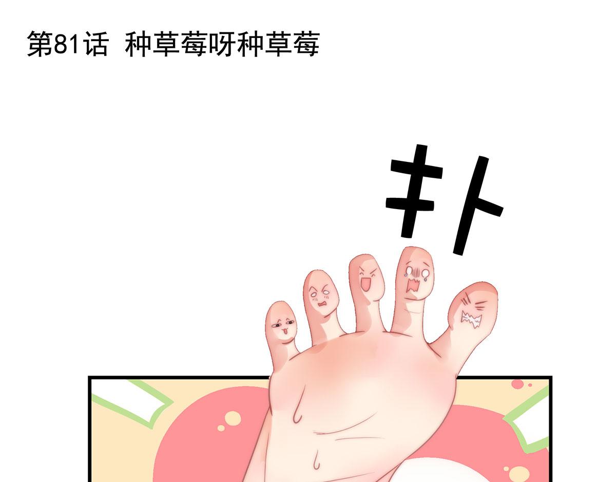第81话种草莓呀种草莓0