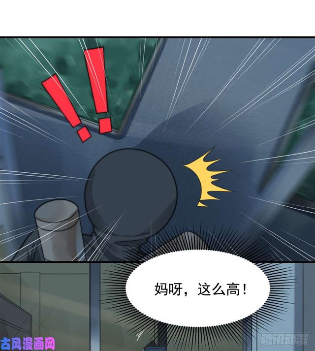 第113话真假美人图11