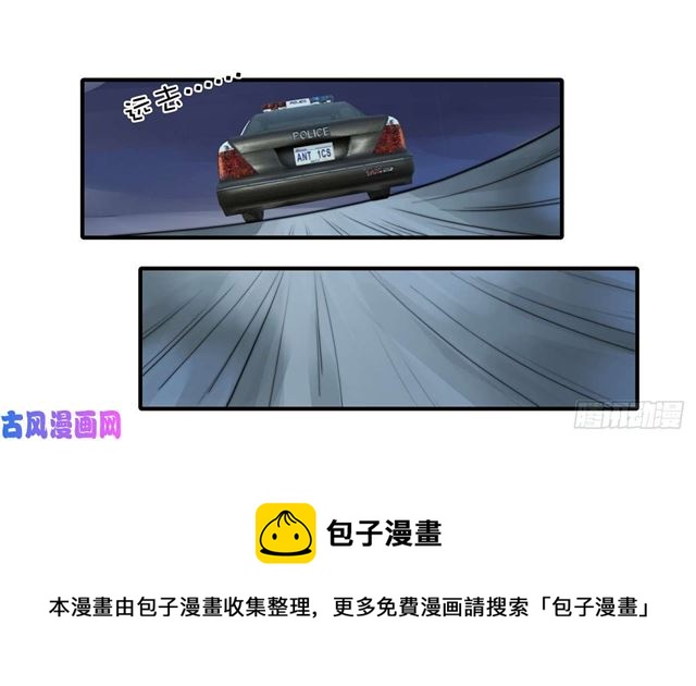 第114话最会享受的猫10