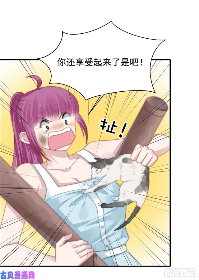 第114话最会享受的猫25