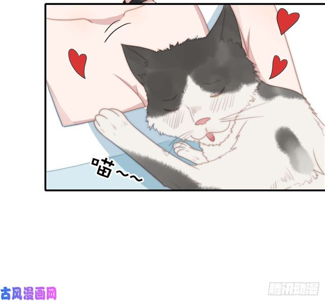 第114话最会享受的猫24