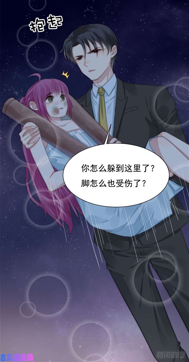 第114话 最会享受的猫25