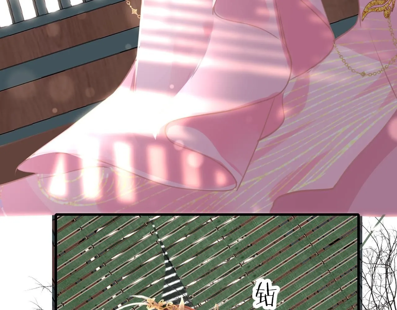 第104话 你想要的100