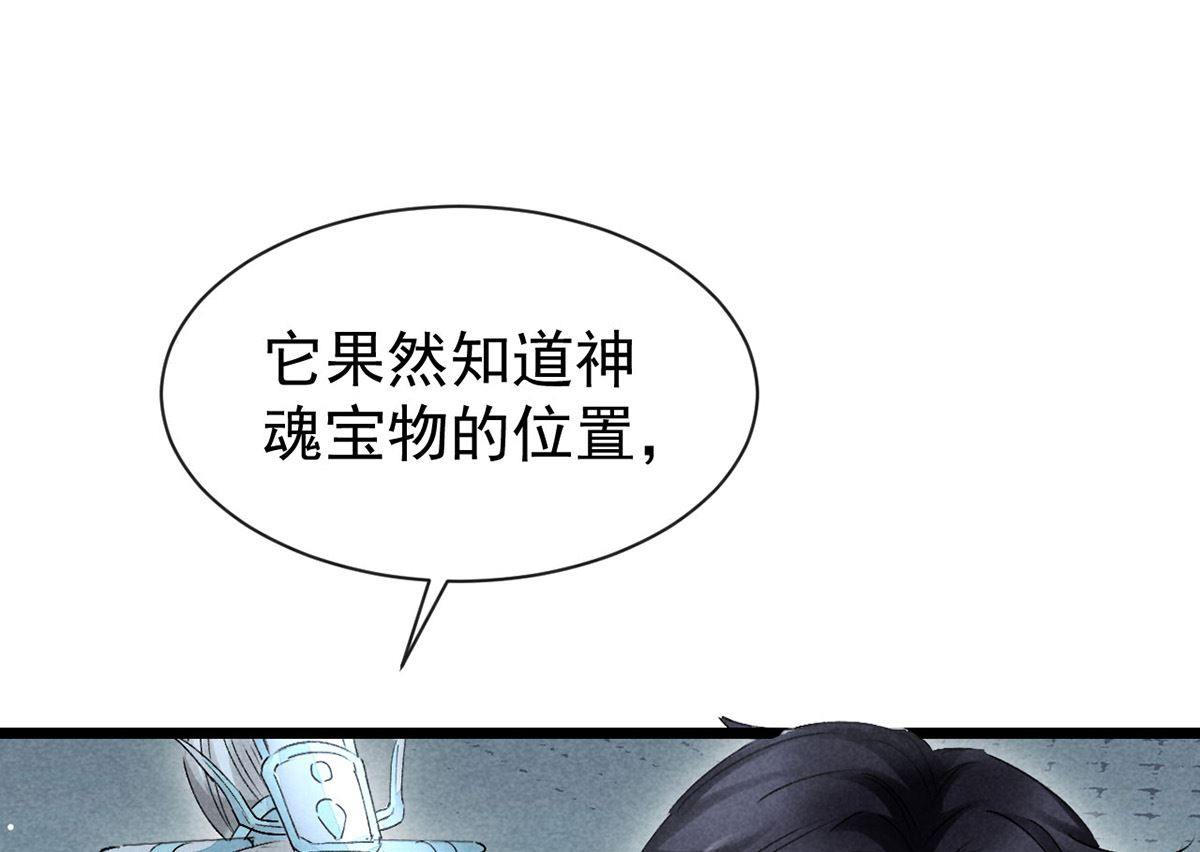 第116话 神魂宝物70
