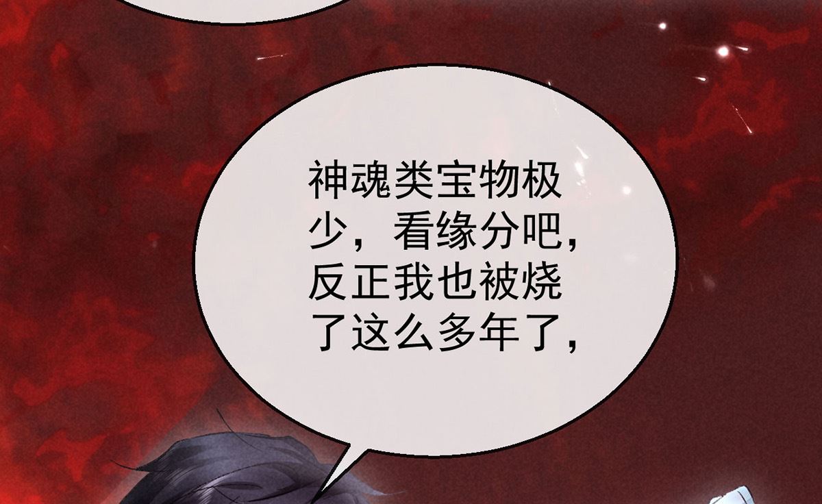第116话 神魂宝物13