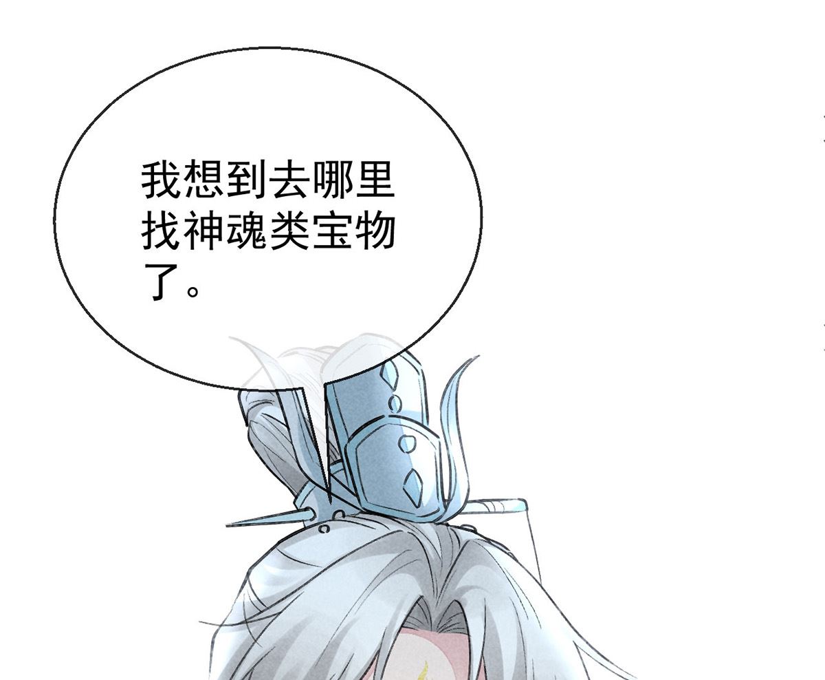 第116话 神魂宝物33
