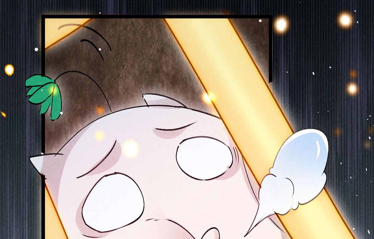 第116话 神魂宝物64