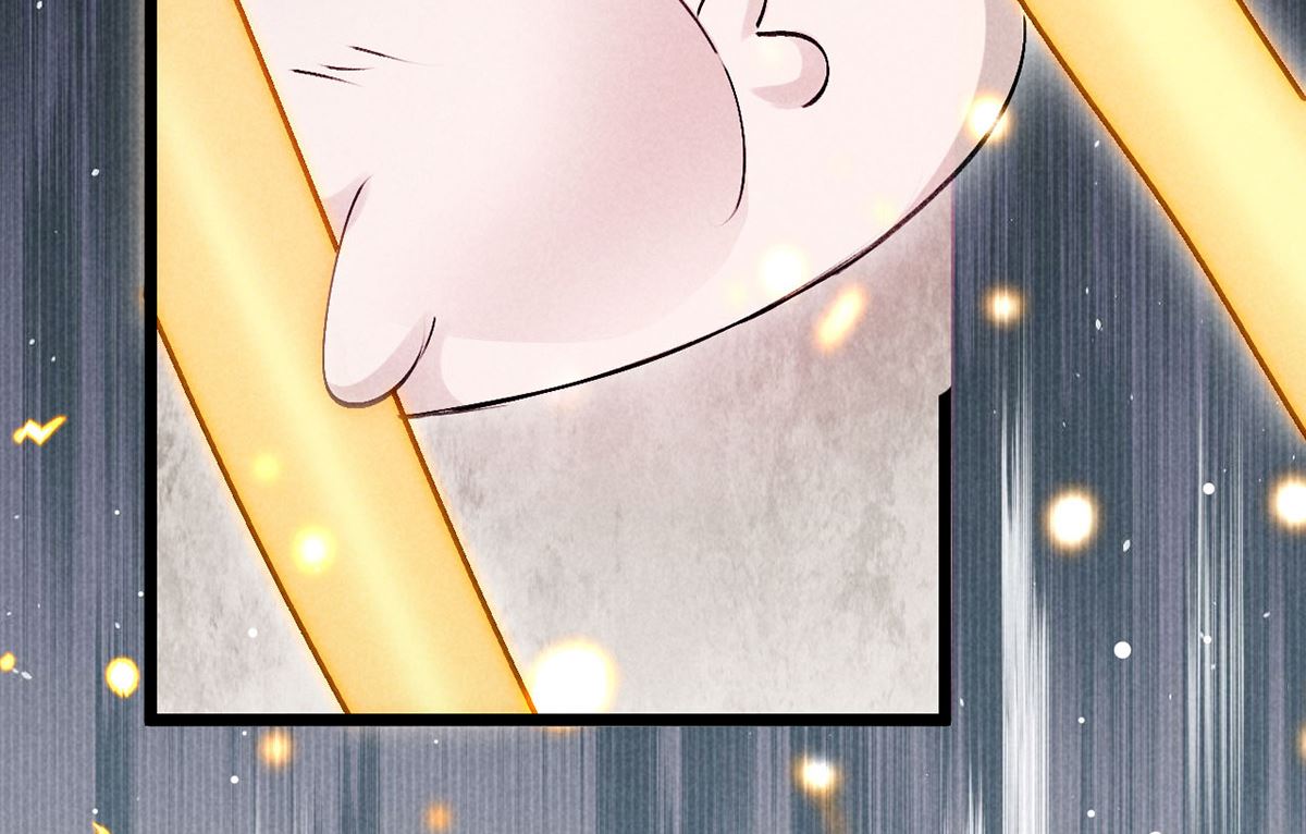 第116话 神魂宝物65