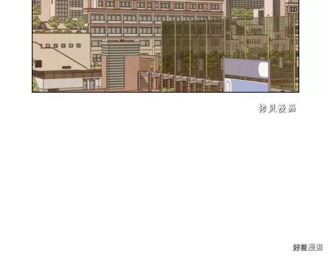 青春特别篇16 相互炫耀6