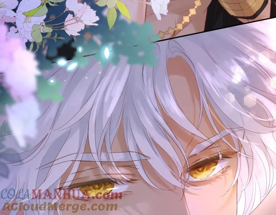 特别篇二01 蛮王与公主之梦64