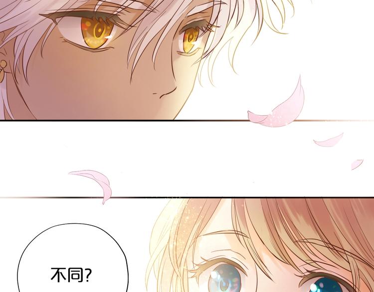 第11话 笨马蜂5