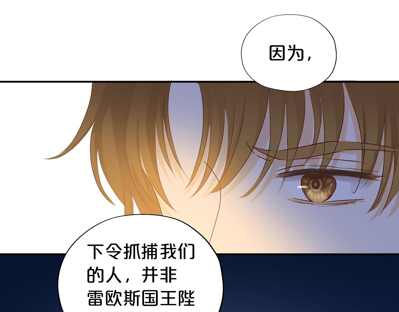 第118话 逃走吧，公主殿下69