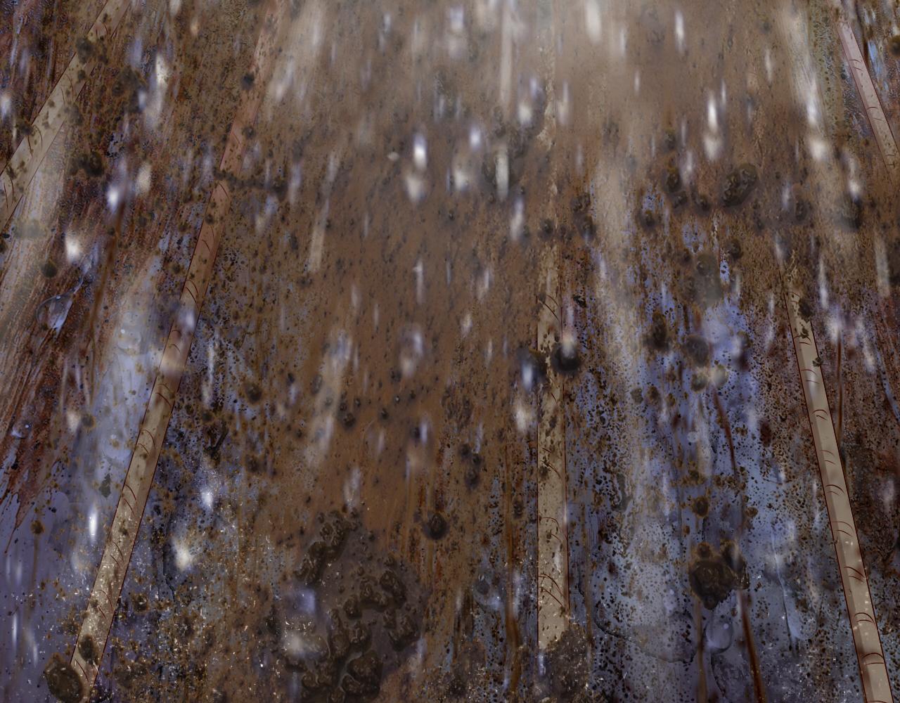 第106话 最重要的存在94