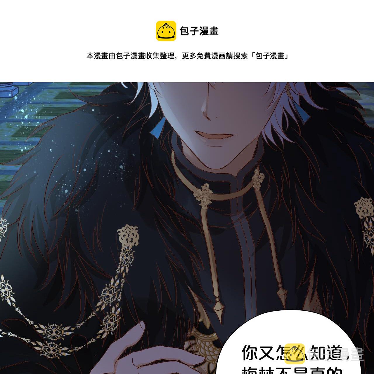 第118话 逃走吧，公主殿下100