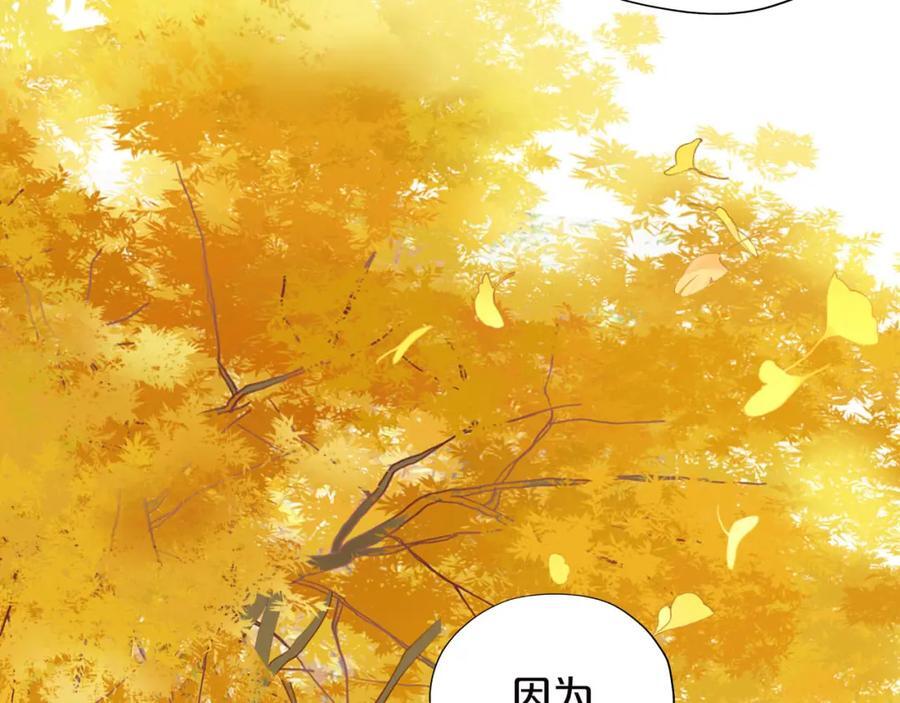 第179话 我们的秘密婚礼11