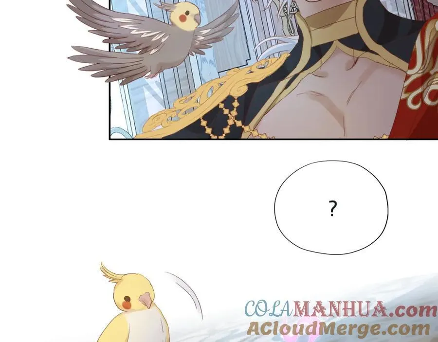 特别篇二01 蛮王与公主之梦8