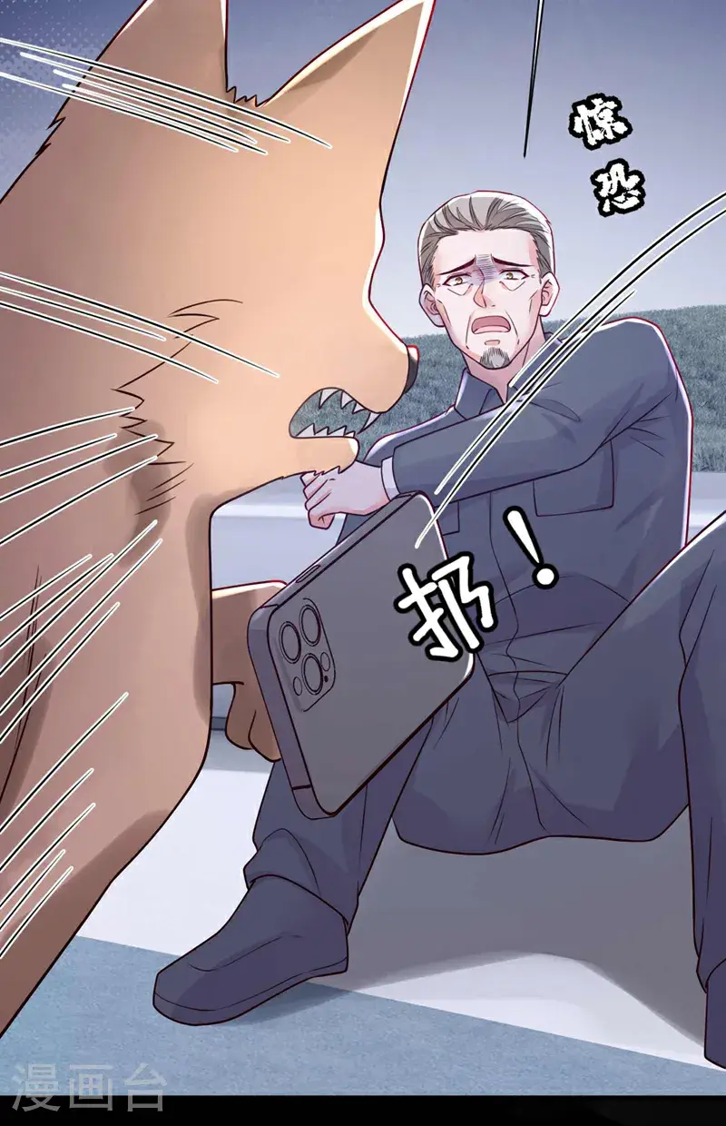 第214话 那混账东西33