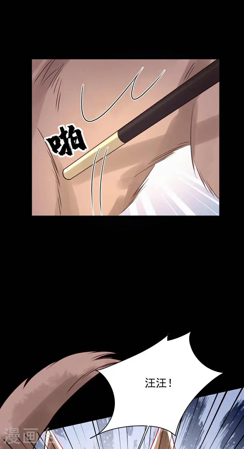 第214话 那混账东西31