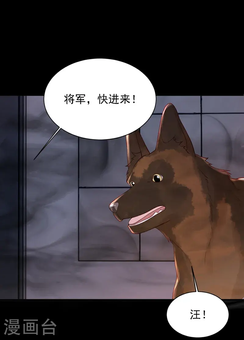 第219话 将军？！24