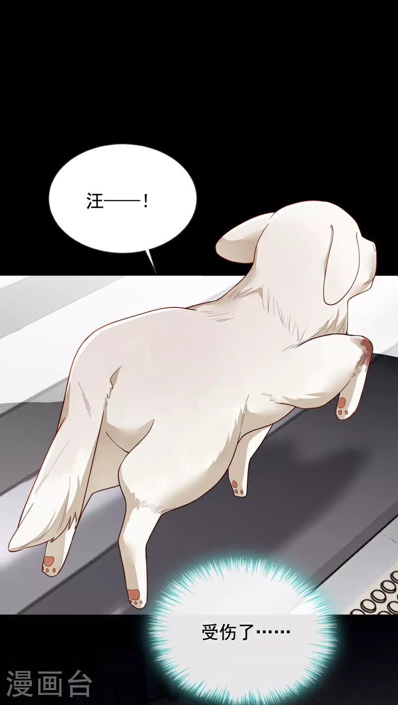 第165话 狗狗——21