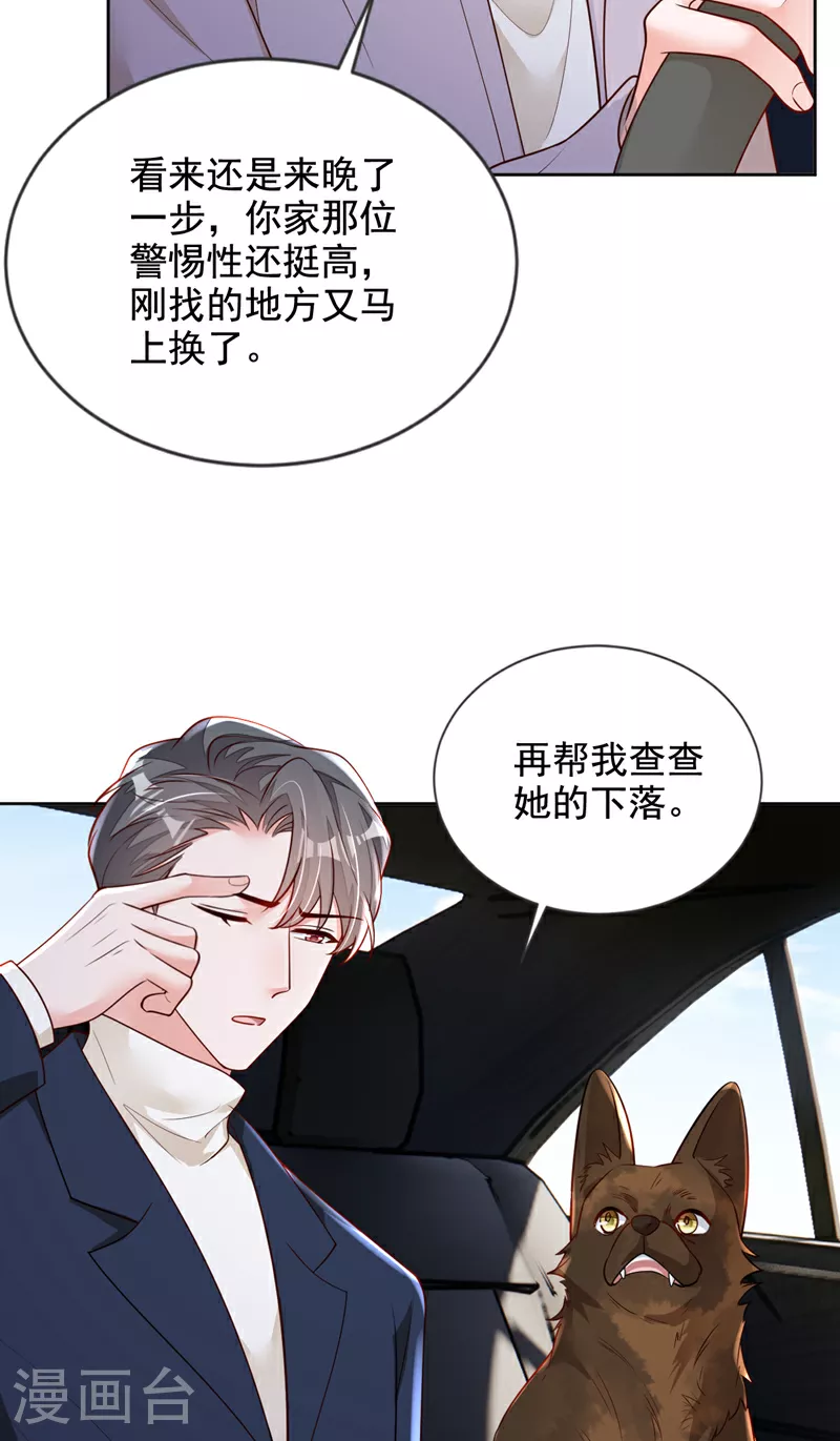 第165话 狗狗——8
