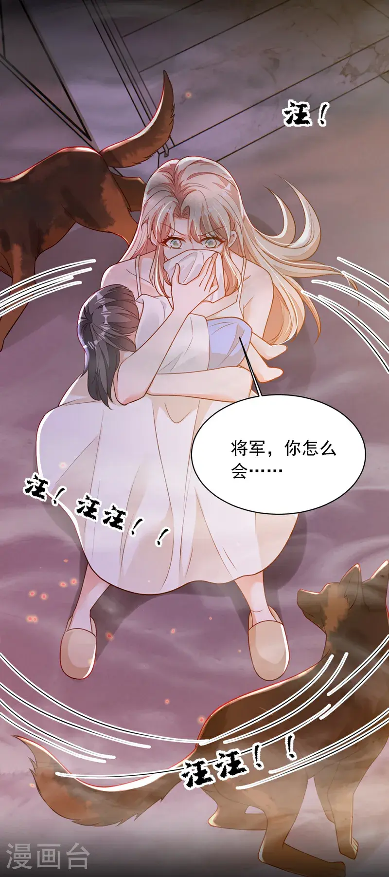 第219话 将军？！22