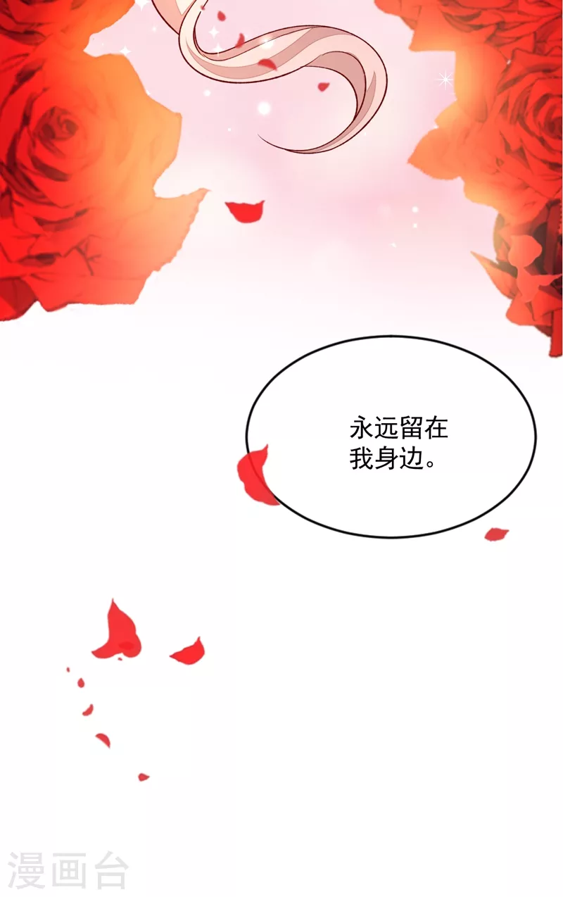 第29话 兔子急了也会咬人27