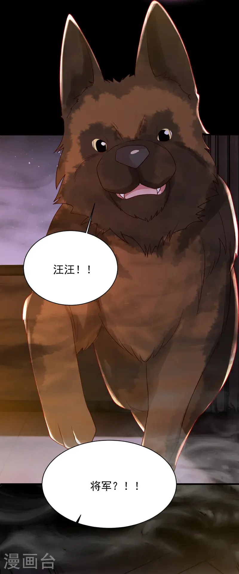 第219话 将军？！21