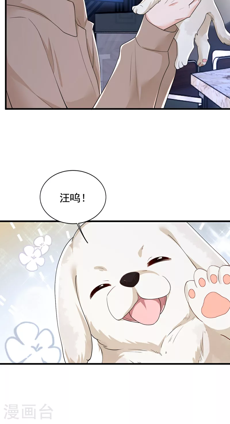 第167话 谁能抗拒毛绒绒呢12