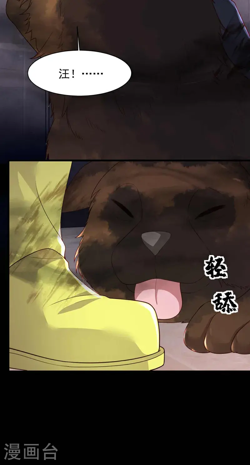 第221话 等我回来！12