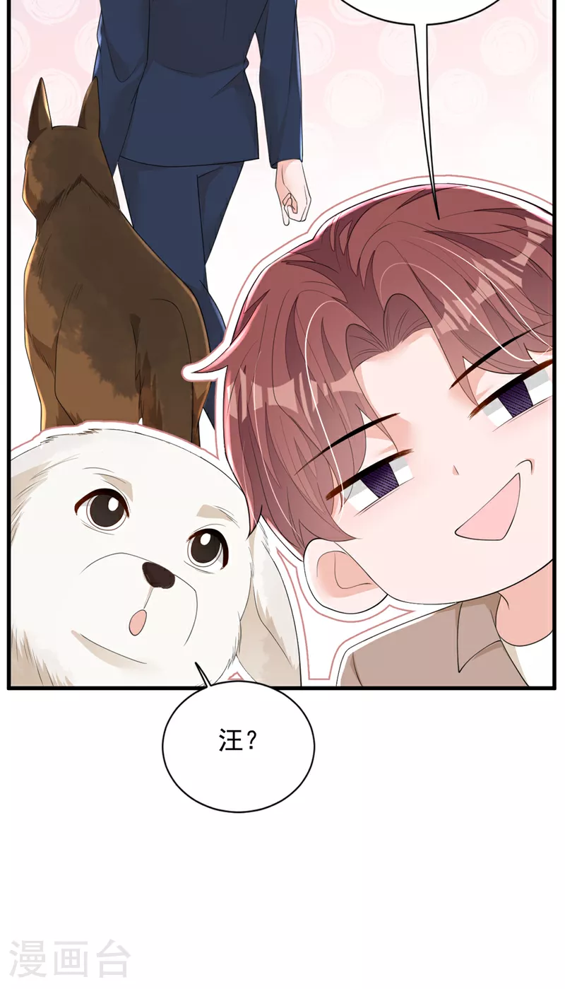 第167话 谁能抗拒毛绒绒呢30