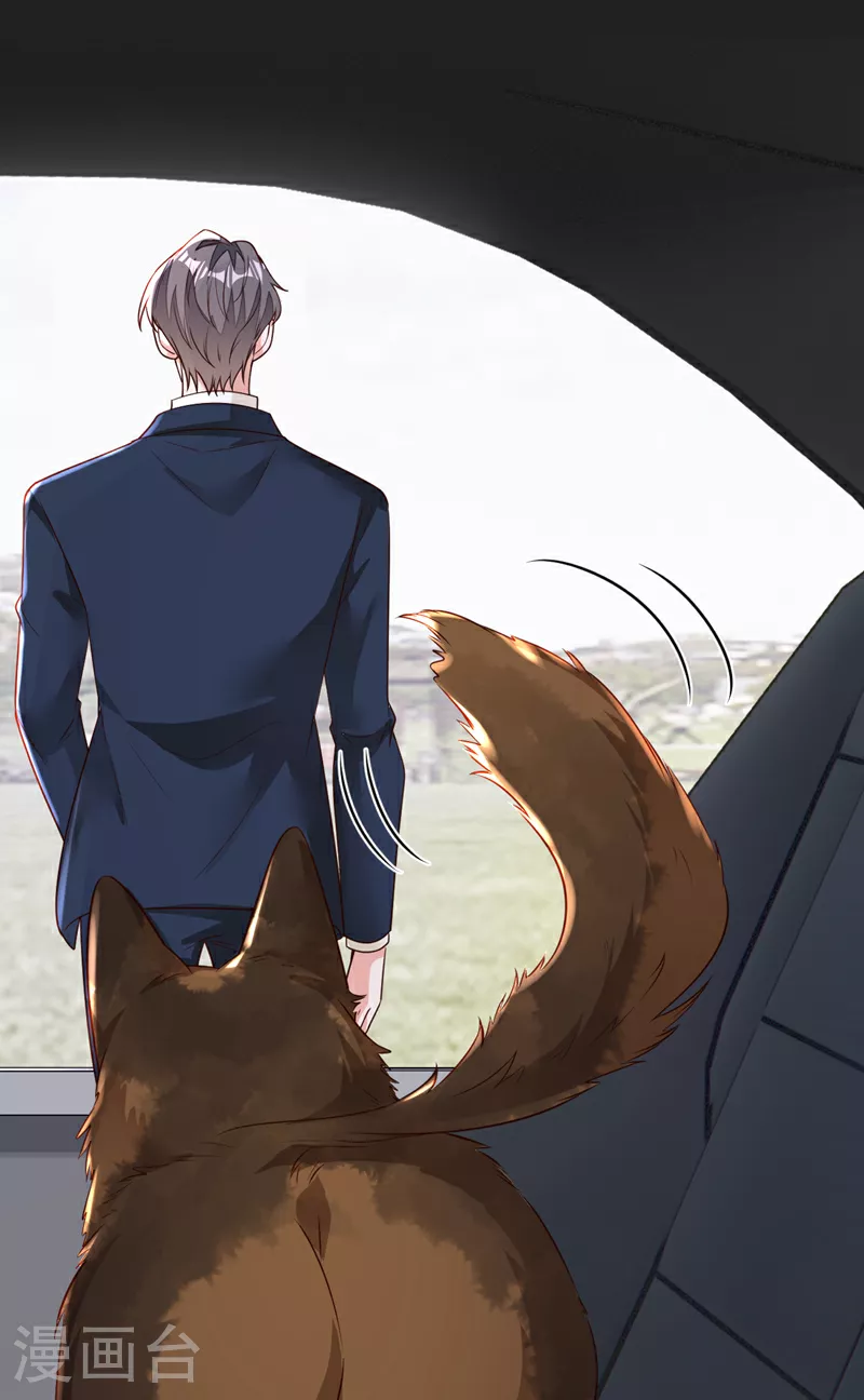 第165话 狗狗——17